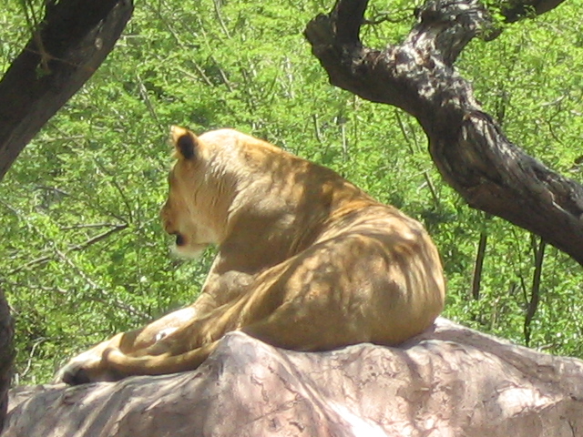 618x457 pixels (236K)